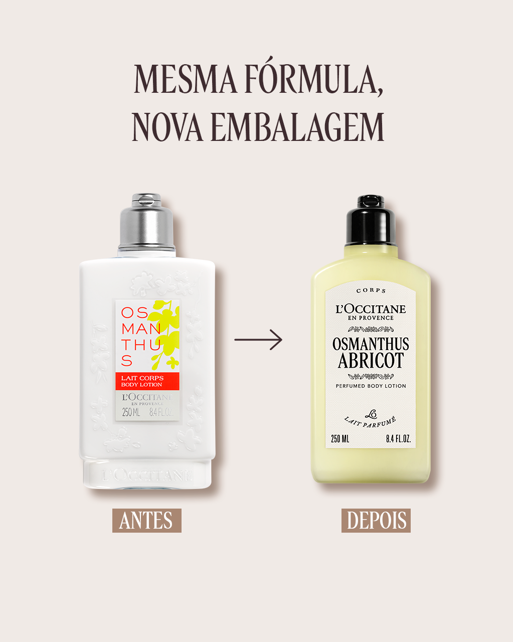 Loção Corporal Perfumada Osmanthus Abricot 250mL (Osmanthus) | L
